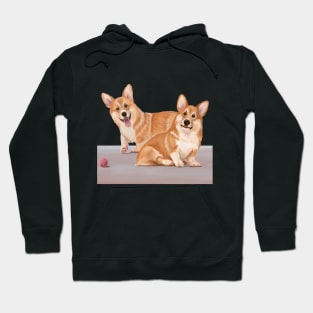 The Funny Couple Hoodie